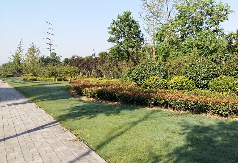 168极速赛车官方开奖历史