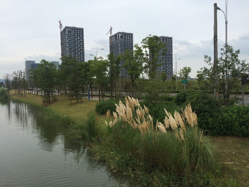 168极速赛车官方开奖历史