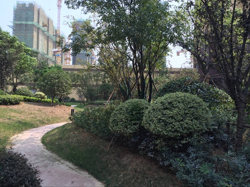 168极速赛车官方开奖历史