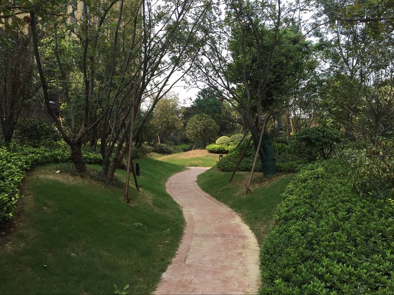 168极速赛车官方开奖历史