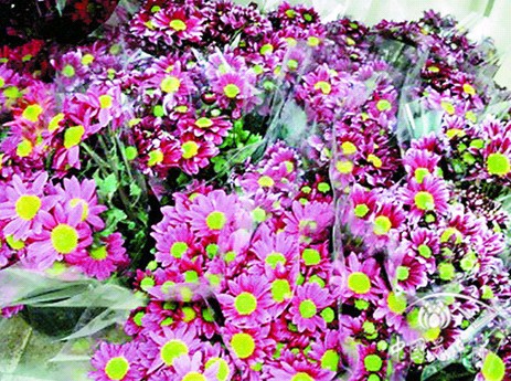 168极速赛车官方开奖历史