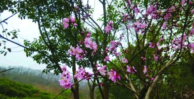 168极速赛车官方开奖历史