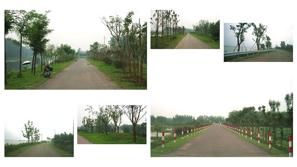 168极速赛车官方开奖历史