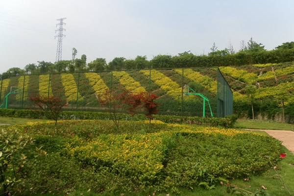 168极速赛车官方开奖历史