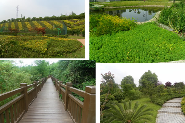 168极速赛车官方开奖历史