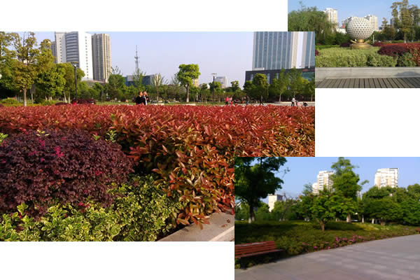 168极速赛车官方开奖历史